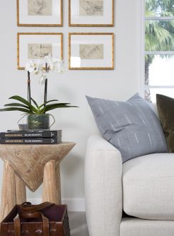 Deconstructing Our Latest Living Vignette